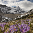 Simon Walther ist ein Schweizer Fotograf. Frühlingsbild am Lago di Lei an einem wolkigen Maitag.