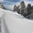 Neuschnee und Schneeschuspuren – unterwegs nach Grevasalvas
